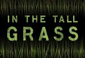 Online In the Tall Grass Audiobook